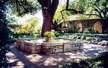 Alamo Courtyard