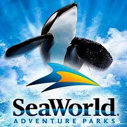 Sea World